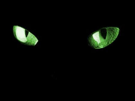 Aquarian Eyes